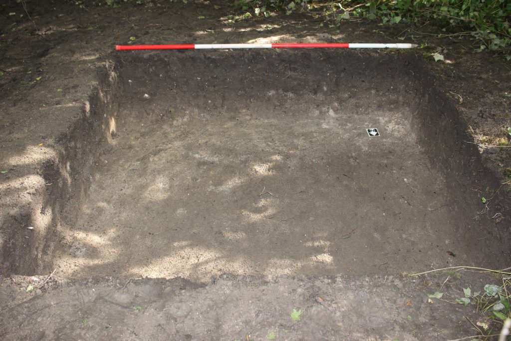 Trench 2 at the end of 30/8/23