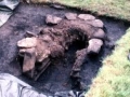 Late medieval - Llwyn du